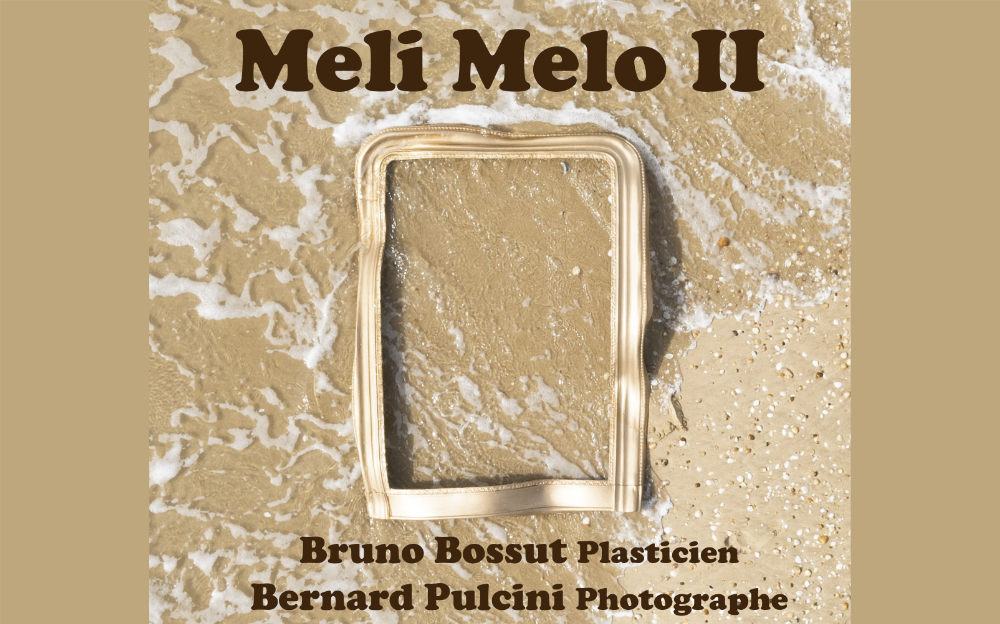 Invitation à l’exposition « Meli Melo II » | 14 › 20 nov. Lyon